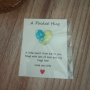 Pocket hug hartje blauw/groen